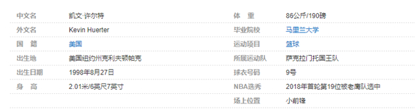 凯文-许尔特个人详细资料简介